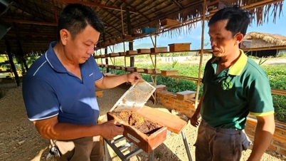 Menuai hasilnya selepas 7 tahun gigih membina ladang bulat seluas 120 hektar.