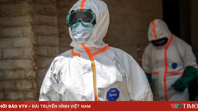 The risk of Ebola spreading in Africa.