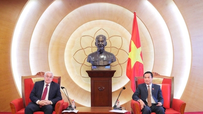 Promover la cooperación en educación y ciencia entre Vietnam y la Federación Rusa.