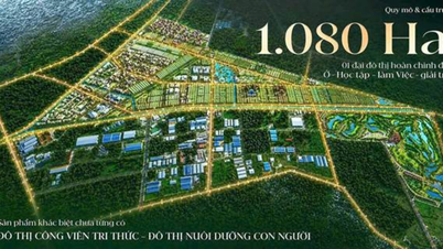Fånga investeringsvågen i Vinhomes Saigon Park, porten till nordväst.