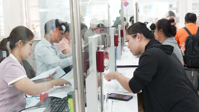 Jawatankuasa Parti Bandar Raya Ho Chi Minh mempunyai kuasa yang terdesentralisasi dan didelegasikan untuk pengambilan dan penggunaan kader.