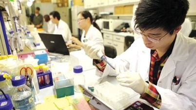 Aprobación del Programa de Excelencia en Investigación Básica en Ciencias Naturales para el período 2026-2035.