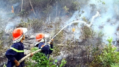 Incêndios florestais intensos devastam Quang Tri, e centenas de pessoas lutam para extinguir as chamas.