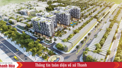 إجراء البحوث، وتقديم الاستشارات، وتطبيق التصاميم النموذجية للإسكان الاجتماعي.