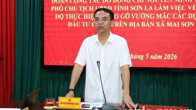 សមមិត្ត ង្វៀន មិញ ទៀន អនុប្រធានគណៈកម្មាធិការប្រជាជនខេត្ត ធ្វើការនៅឃុំម៉ៃសើន។