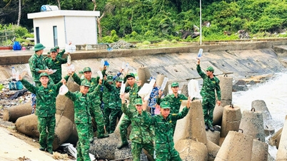Lavoriamo insieme per mantenere verde l'isola di Hon Khoai.