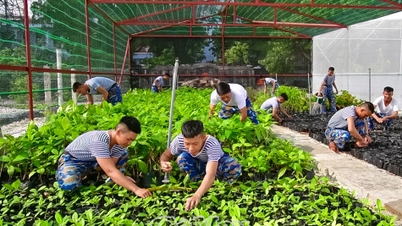 ໄປເຈື່ອງຊາເພື່ອເບິ່ງ "ນົກໄນຕິງເກລສາມໂຕທີ່ດີທີ່ສຸດ"