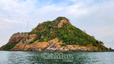 Ðảm bảo an toàn rừng trên đảo Hòn Chuối