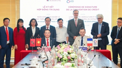 Agribank une fuerzas con la AFD para promover las "finanzas verdes" en Vietnam.