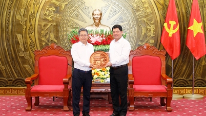 Der Sekretär des Provinzparteikomitees von Bac Ninh, Nguyen Hong Thai, empfängt die Delegation der Goertek-Gruppe.