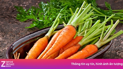 Menyenaraikan 4 kumpulan makanan yang kaya dengan vitamin A