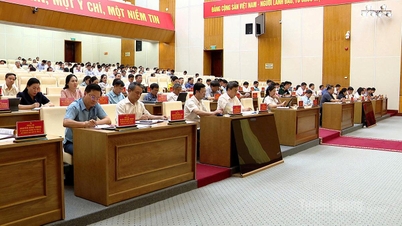 Tuyen Quang eyaletindeki köylerin ve yerleşim alanlarının yeniden düzenlenmesi için oluşturulan Yönlendirme Komitesi ilk toplantısını gerçekleştirdi.