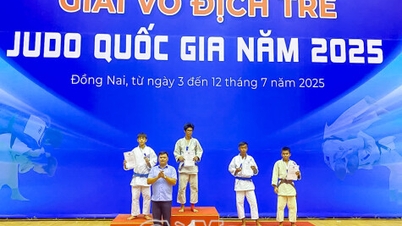 Campionato nazionale giovanile di judo 2025: Ca Mau si aggiudicherà 7 medaglie.