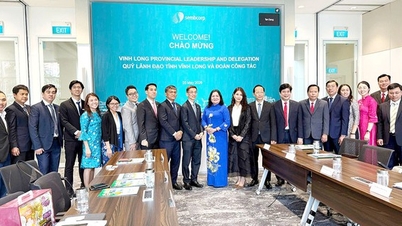 Vinh Long wirbt für eine Zusammenarbeit mit Sembcorp und schlägt die Entwicklung eines Hightech-Agrarindustrieparks vor.