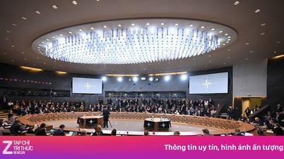 Πέντε χώρες του ΝΑΤΟ αντιτίθενται στο σχέδιο για υποχρεωτική στρατιωτική βοήθεια προς την Ουκρανία.
