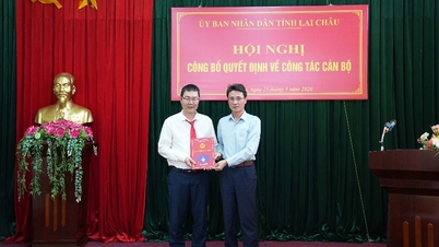 ສະຫາຍ ຫງວຽນເຟືອງແຮ້ງ ດຳລົງຕຳແໜ່ງຮອງຫົວໜ້າພະແນກກະສິກຳ ແລະ ສິ່ງແວດລ້ອມແຂວງລາຍເຈົາ.