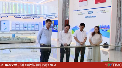 Verbesserung der Beziehungen zwischen Vietnam und Singapur