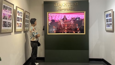 Berättelser om musikern Thanh Tung berättas genom fotografier.
