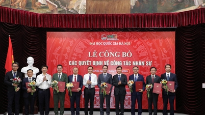 Die Nationale Universität Hanoi ernennt eine Reihe von Rektoren für ihre Mitgliedsuniversitäten.