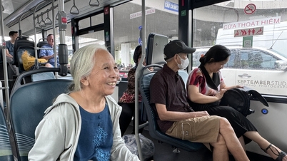 Ho Chi Minh-stad stelt voor om kleine bussen toe te staan ​​passagiers te vervoeren tussen woonwijken en de metro- en busstations.