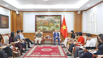 Renforcer la coopération avec TikTok pour promouvoir la culture et le tourisme vietnamiens.