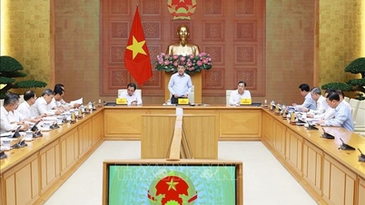 레민훙 총리: 임대주택은 국민에게 봉사하는 전략적 부문입니다.