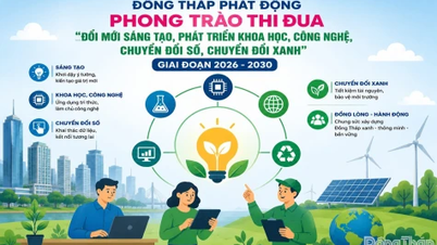Dong Thap: Mencontohi inovasi, membangunkan sains dan teknologi, transformasi digital dan transformasi hijau.
