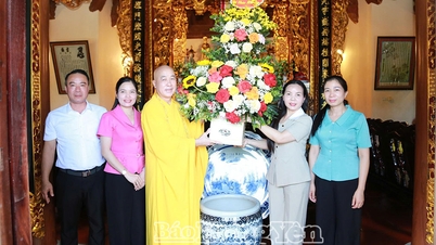 Soudruh Ngo Thi Kim Hoan, stálý místopředseda Výboru Vietnamské vlastenecké fronty v provincii, navštívil pagodu Tam Lieu a poblahopřál jim.