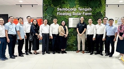 Vinh Long provádí průzkum modelu plovoucí solární energie v Singapuru.