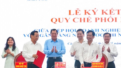 자본 흐름을 활성화하고 경제 성장을 촉진합니다.