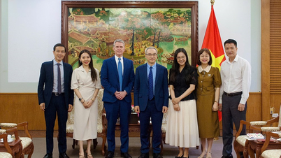 Posílení spolupráce s CNN za účelem propagace vietnamské kultury.