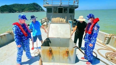 Die Behörden haben in den Gewässern vor der Provinz Ha Tinh ein Schiff mit rund 22.000 Litern Dieselkraftstoff an Bord festgesetzt.