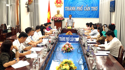 TP Cần Thơ dự kiến tuyển hơn 35.000 học sinh vào lớp 10 năm học 2026-2027