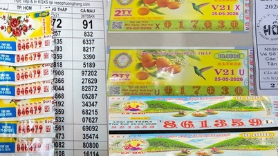 Pada pagi 26 Mei, lokasi di mana tiga pemenang jackpot dan tiga pemenang hadiah sagu hati loteri Vietnam Selatan telah didedahkan.