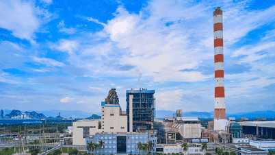 The General Director of Hai Phong Thermal Power Plant is also being prosecuted: Market capitalization exceeds 5200 billion VND, experiencing declines for several days.