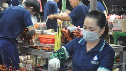 Industrial promotion creates a boost for production innovation in rural areas.