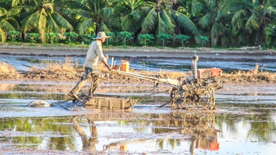 ປັບປ່ຽນຕາຕະລາງການປູກເຂົ້າລະດູຮ້ອນ-ລະດູໃບໄມ້ຫຼົ່ນປີ 2026 ຢ່າງຫ້າວຫັນ.