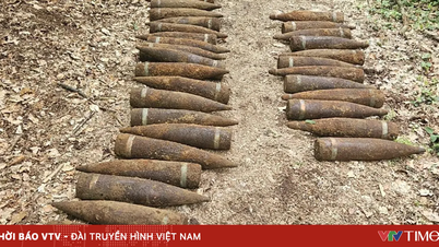 تم اكتشاف 1.5 طن من قذائف المدفعية غير المنفجرة من الحرب العالمية الثانية في برلين.