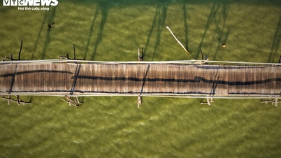 A close-up look at Vietnam's longest wooden bridge, which 'reborn' once a year.