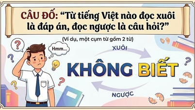 ຄຳສັບພາສາຫວຽດນາມໃດອ່ານຄຳຕອບໄປທາງໜ້າ ແລະ ຄຳຖາມອ່ານກັບຫຼັງ?