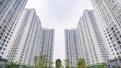ニンビン省では、総額10億6700万ベトナムドンを超えるプロジェクトにより、新たに819戸の公営住宅が建設される予定だ。