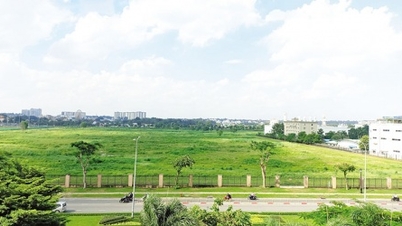 Ho-Chi-Minh-Stadt gewinnt zwei Grundstücke im High-Tech-Park zurück, um neue Projekte anzuziehen.