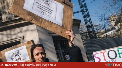 هزت فضائح الاعتداء الجنسي على الأطفال في مدارس متعددة فرنسا.