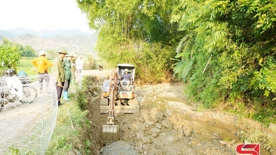 ตวงฮา ดำเนินการป้องกันและรับมือกับภัยพิบัติทางธรรมชาติอย่างเชิงรุก