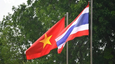 Five Decades of Vietnam-Thailand Diplomatic Relations: From Establishing Diplomatic Relations to a Comprehensive Strategic Partnership