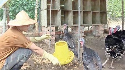 Which famous forest in Thanh Hoa is successfully rescuing, breeding, and conserving countless rare animals?