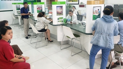 Transparența în activitățile de strângere de fonduri