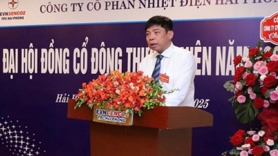 Il direttore generale della centrale termoelettrica di Hai Phong è stato processato.