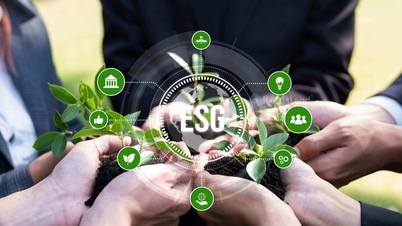 Stratification of ESG framework application criteria by enterprise size