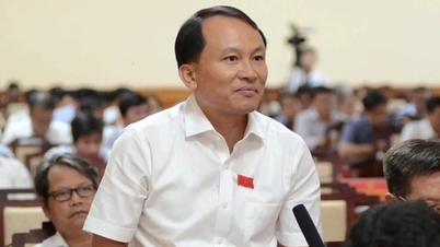 The Director of the Department of Agriculture and Environment of Hue City has been given a disciplinary warning.